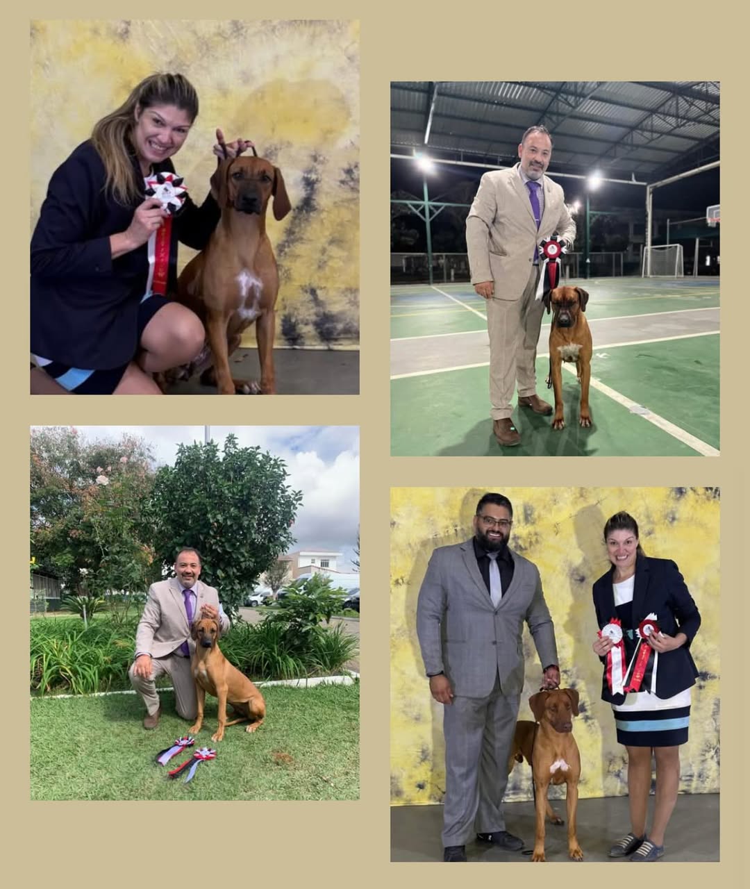 SaveClip.App_494067704_18501100801032429_8788771760171154740_n