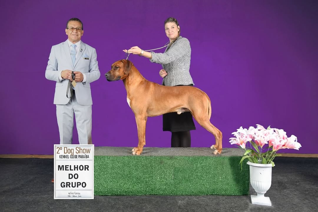 SaveClip.App_525346911_18518983405032429_275744278925530103_n