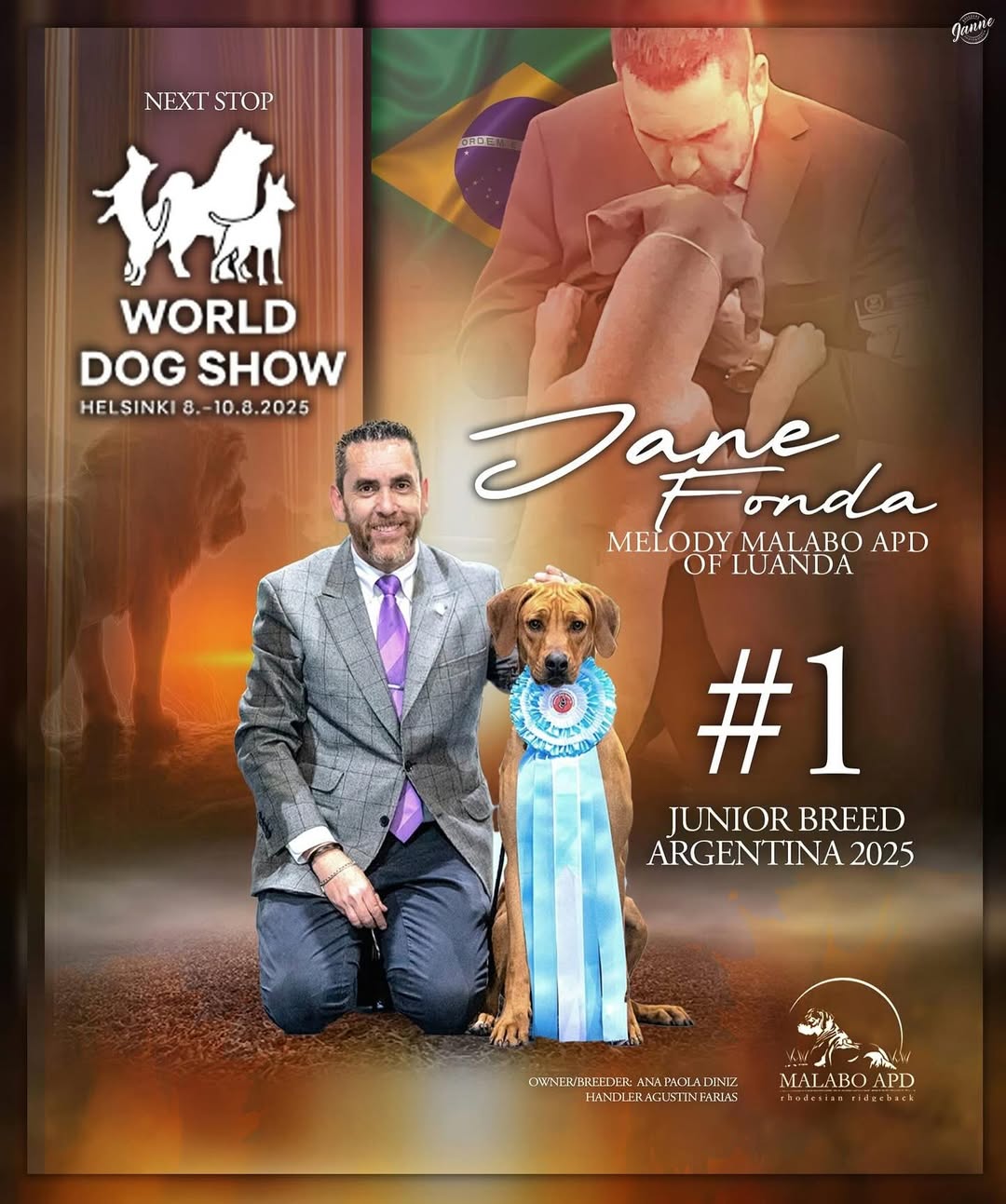 SaveClip.App_529165908_18520602901032429_3479119857700055389_n