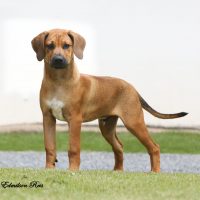 BRAD PITT 1aEV3A6663