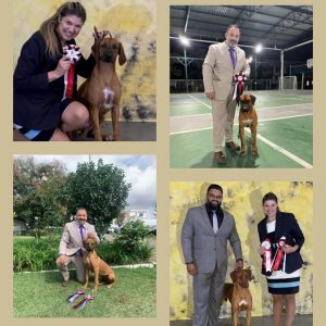 SaveClip.App_494067704_18501100801032429_8788771760171154740_n