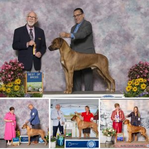 SaveClip.App_503925092_18512205982032429_7114274085522357778_n