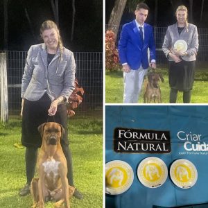 SaveClip.App_519313500_18515729689032429_968543143574735164_n