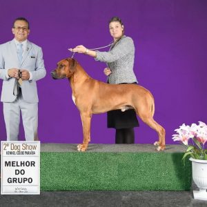 SaveClip.App_525346911_18518983405032429_275744278925530103_n