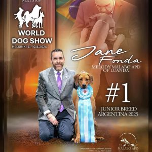 SaveClip.App_529165908_18520602901032429_3479119857700055389_n