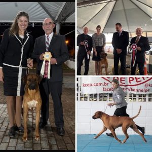 SaveClip.App_534317615_18522272239032429_4721308277491814495_n